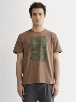 The Everlane x Parks Project Essential Organic Crew | Brown / Green / Forged Iron