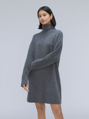 The Cozy Stretch Turtleneck Dress | Marin