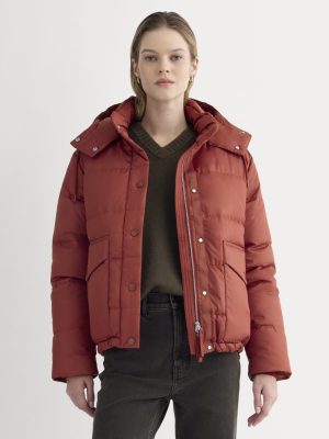 The EverPuff? | Merlot