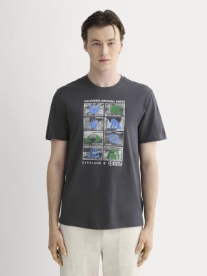 The Everlane x Parks Project Essential Organic Crew | Forged Iron / Natural / Granada Sky Blue / Green